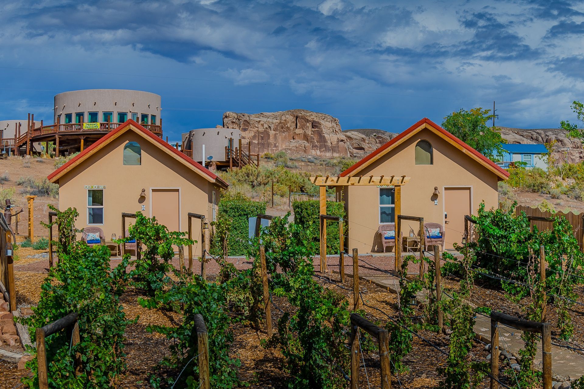 Two small tan buildings with red roofs, surrounded by grape vines, with a larger building in the background.