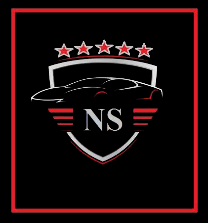 NS SERVICE logo