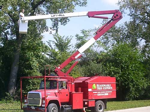 Red Truck — Tree Removal in Crest Hill, IL