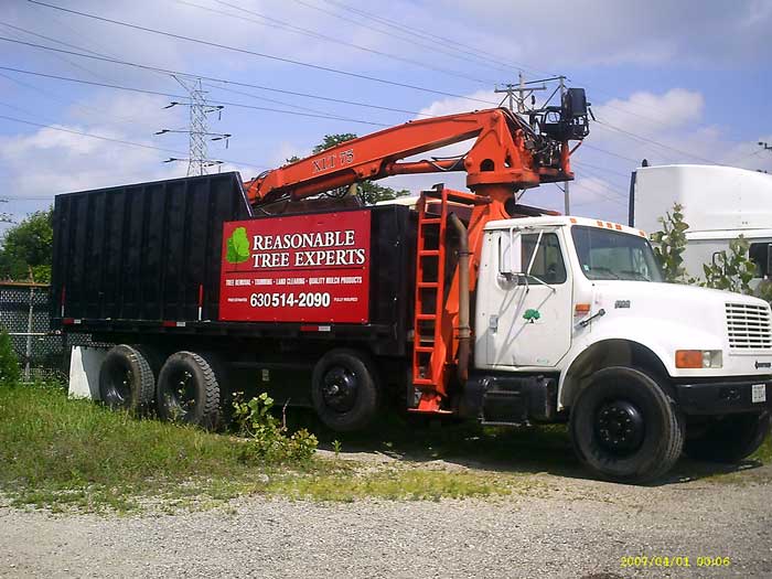 Reasonable Truck Services  — Tree Removal in Crest Hill, IL