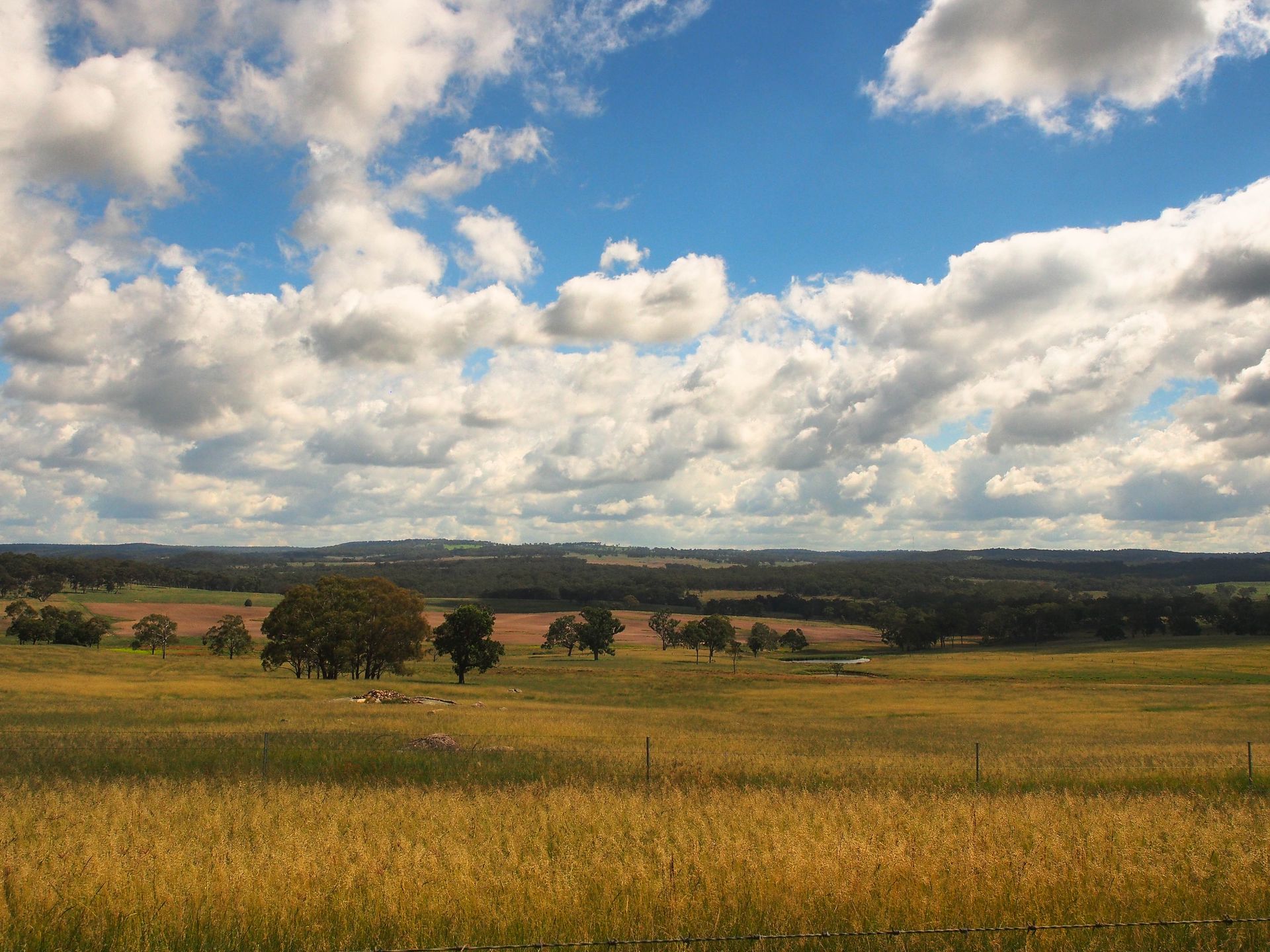 Golden Field Under a Blue Sky — Australian Mobile Welding Pty Ltd in Georgetown, QLD