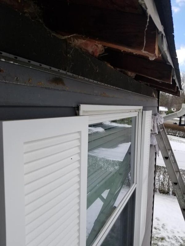 Damaged house eaves above a white shuttered window. Snow visible, ladder leans against the siding.