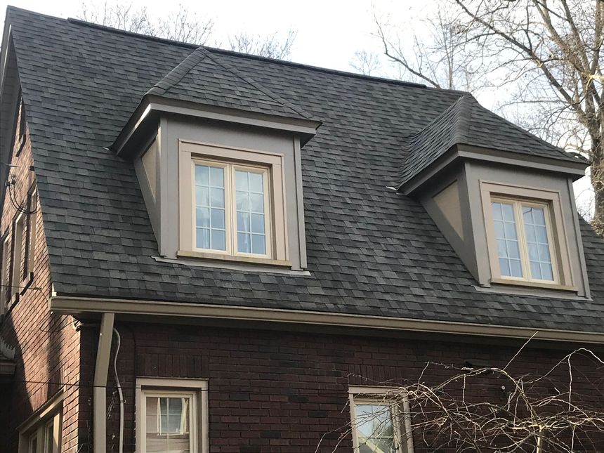 Exterior house construction: Two ladders against gray siding, exposed beams under eaves.