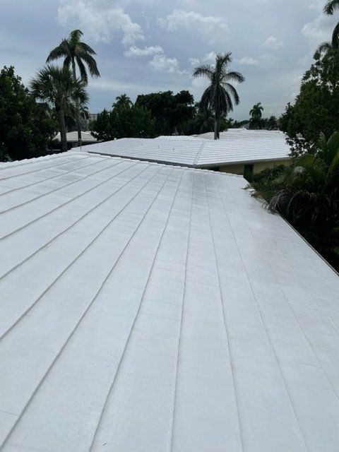 Home Roof After Pressure Washing