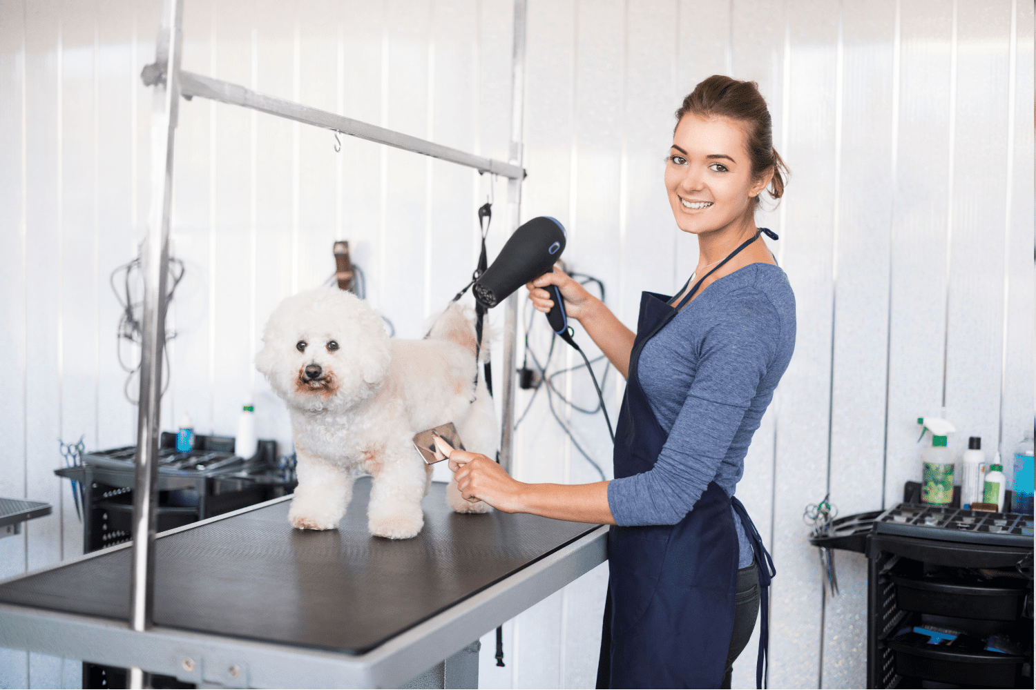 A woman is blow drying a small white dog on a table.