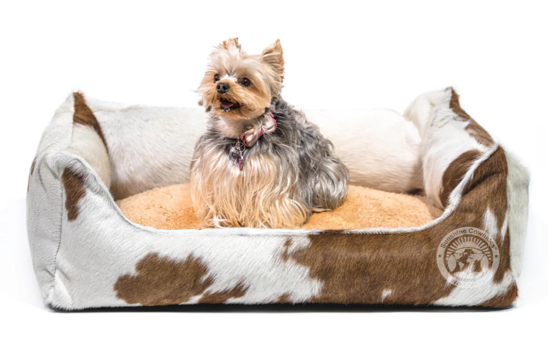 A small dog is laying in a brown and white dog bed.