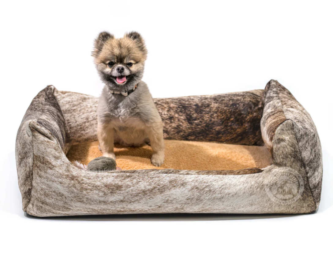 A small dog is sitting in a dog bed.