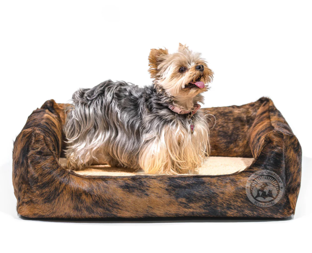 A small dog is sitting in a dog bed.