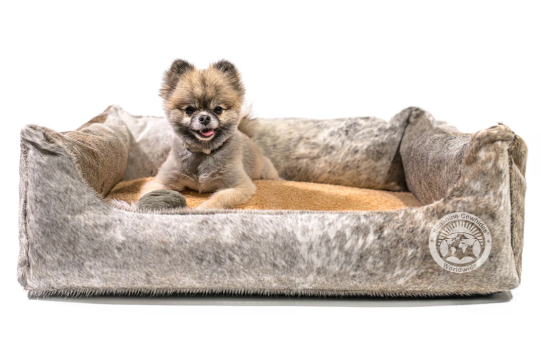 A small dog is laying in a dog bed.