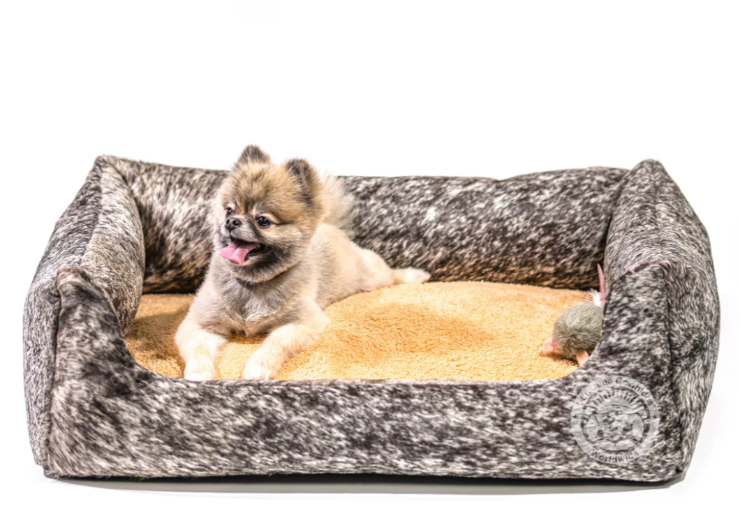 A small dog is laying in a dog bed.