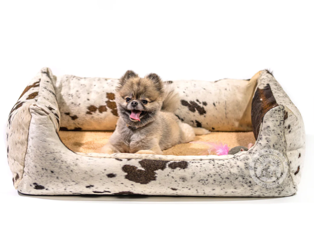 A small dog is laying in a dog bed.