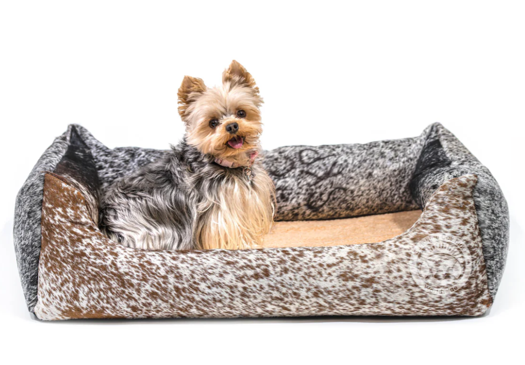 A small dog is sitting in a dog bed on a white background.