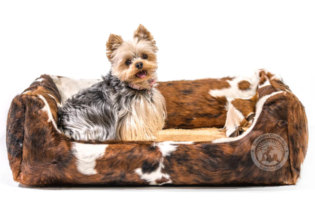 A small dog is sitting in a brown and white dog bed.