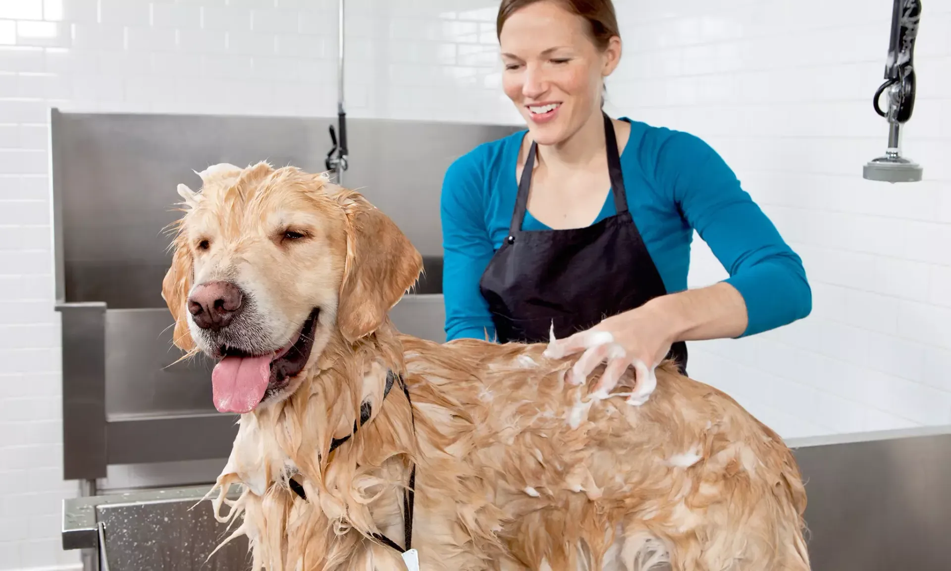 A woman is washing a dog in a sink.