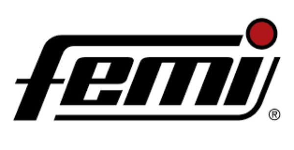 logo Femi