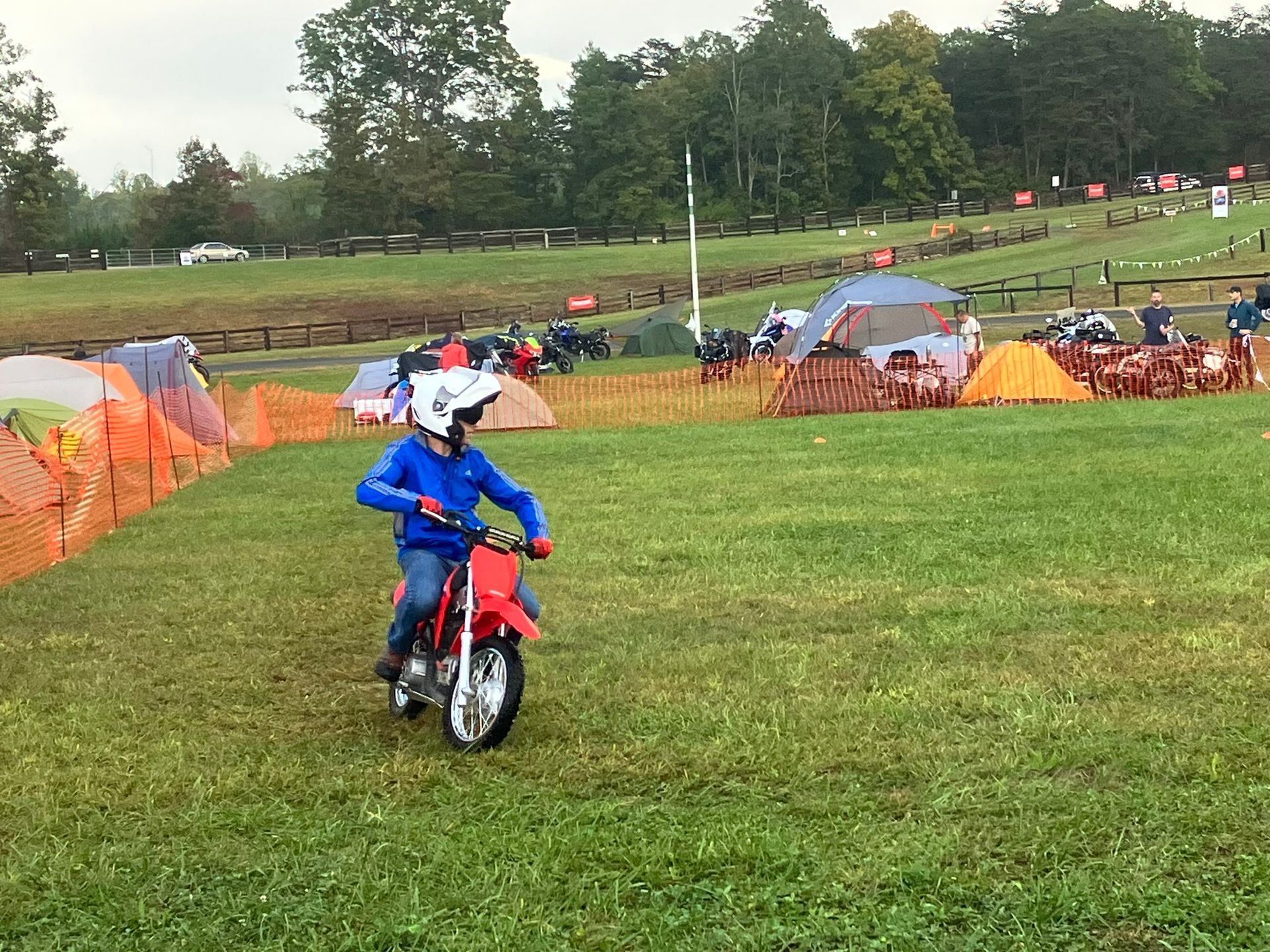 Little Boy Riding a Bike
