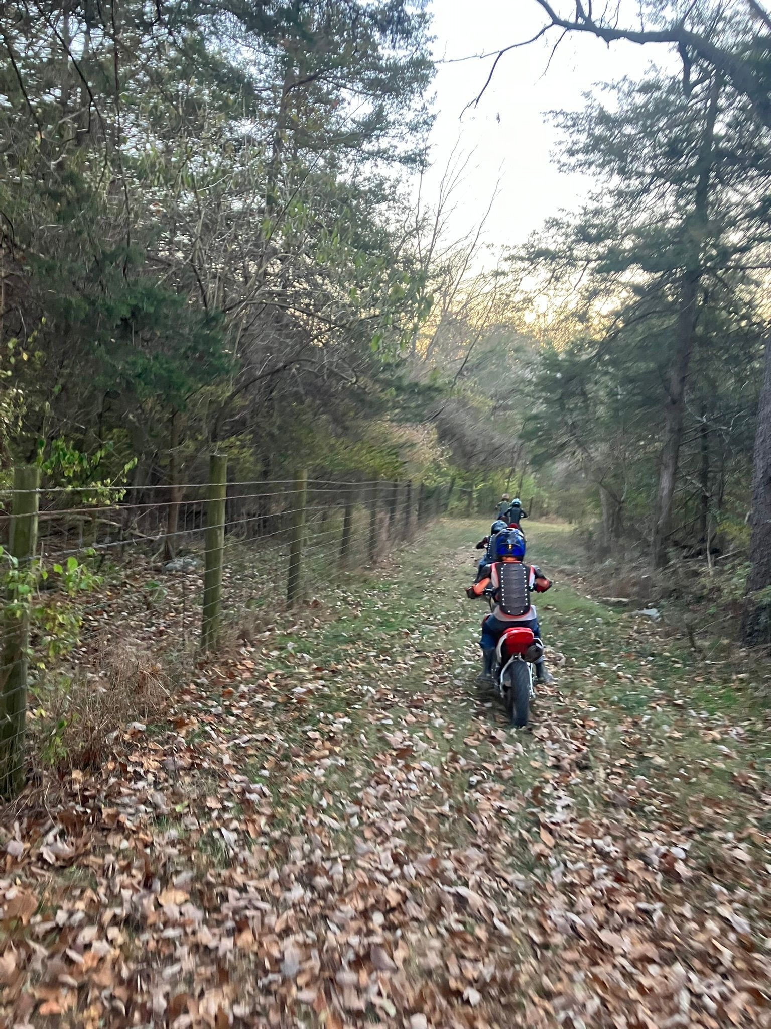 A person is riding a motorcycle down a path in the woods