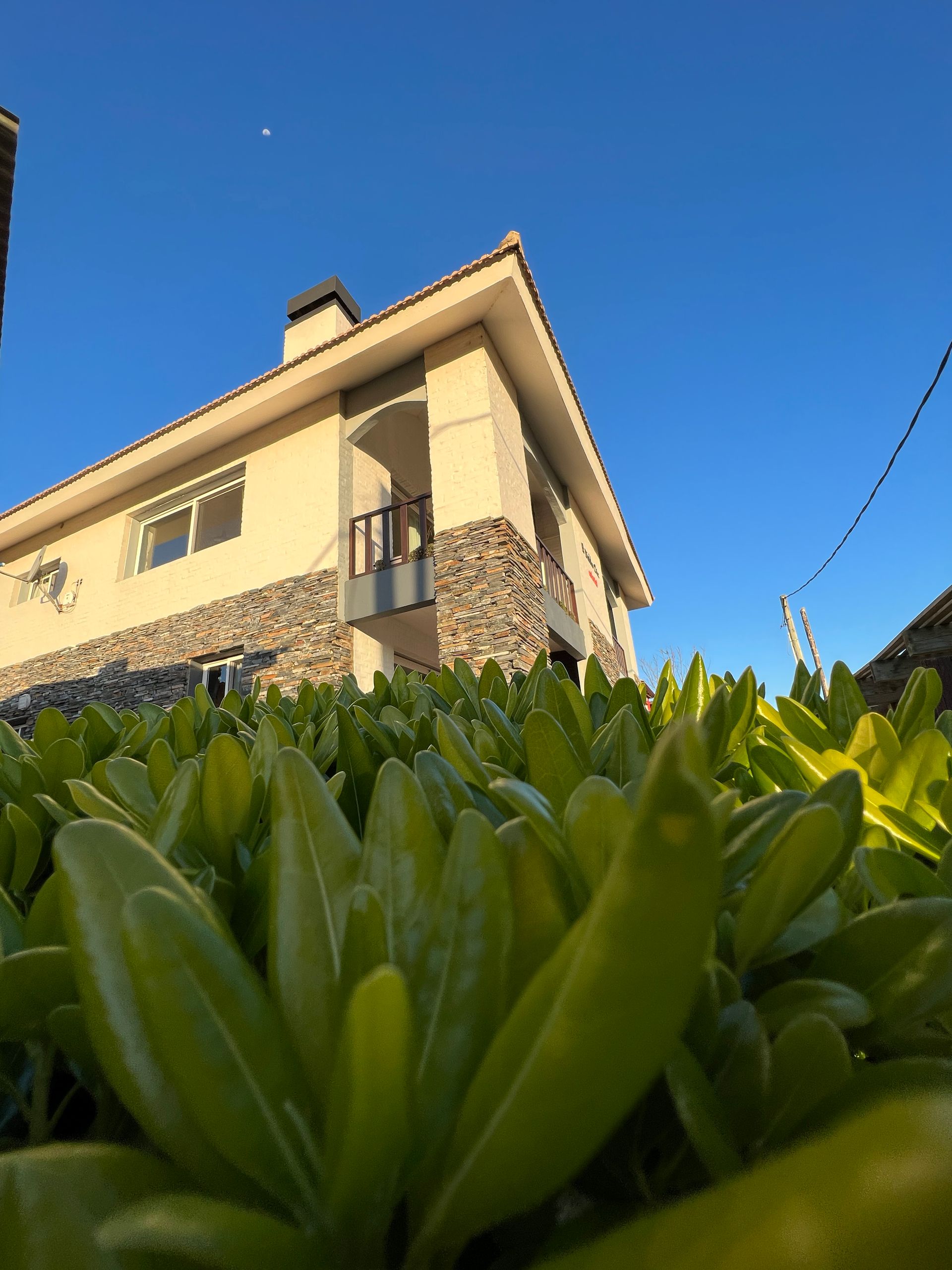 A house with a balcony is surrounded by green plants