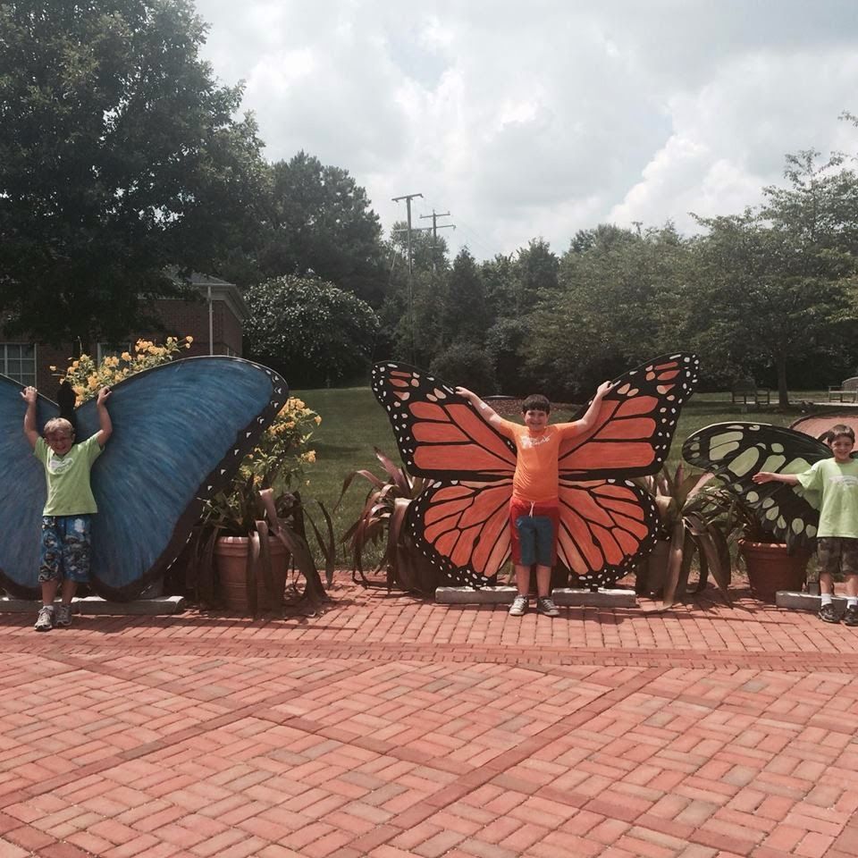 A boy in an orange shirt stands in front of a giant butterfly