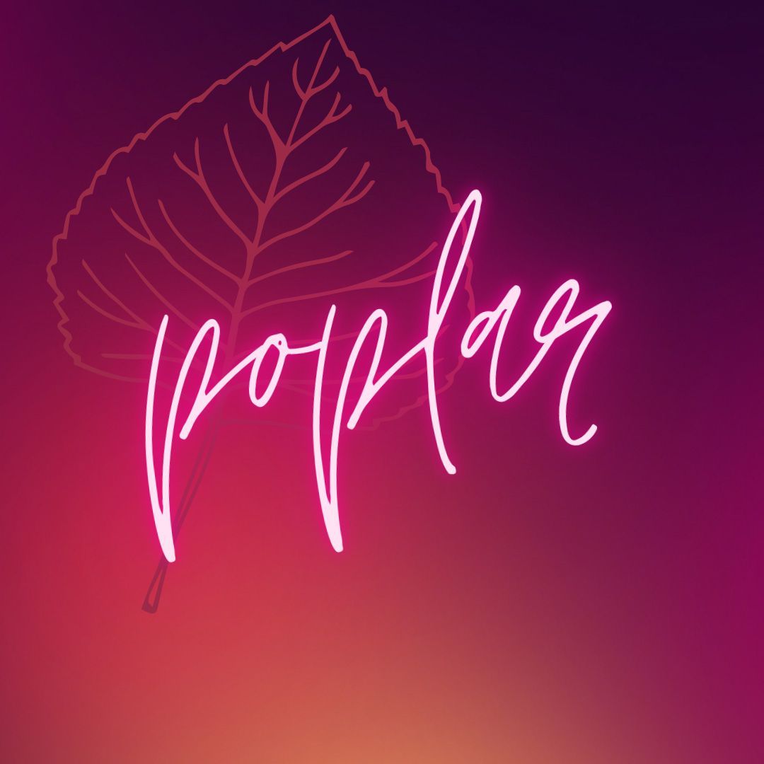 A purple background with a leaf and the word poplar