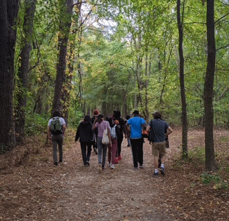 A group of people are walking down a path in the woods