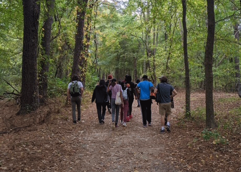A group of people are walking down a path in the woods