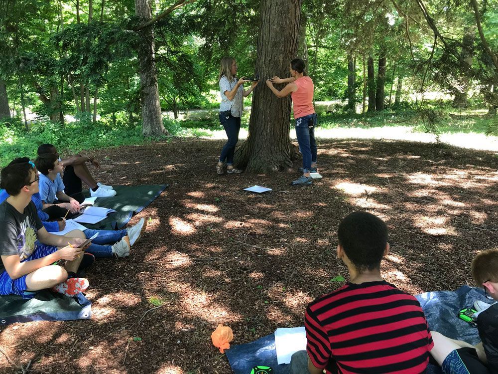 A group of people are sitting around a tree in the woods.
