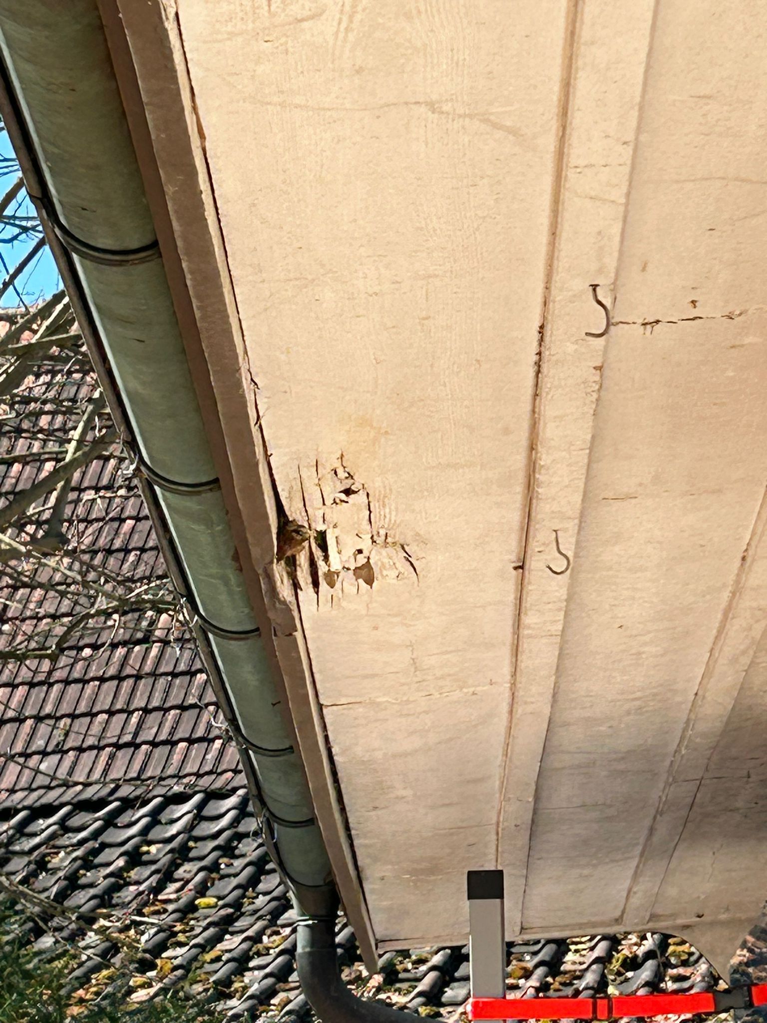 Eine Nahaufnahme eines Daches mit einer Dachrinne.