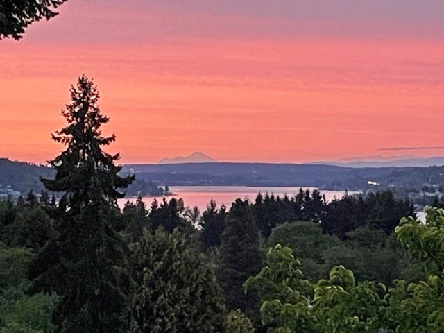 Pink sunset over lake and mountains, with trees in the foreground.