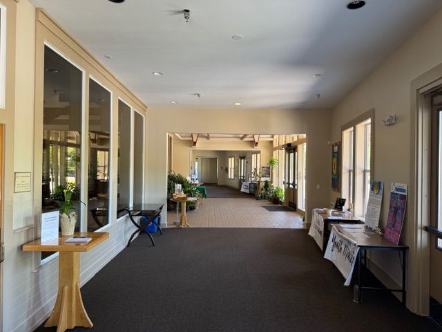 Long hallway with dark carpet, cream-colored walls, and windows. Tables with displays are on the right, plants in the hall.