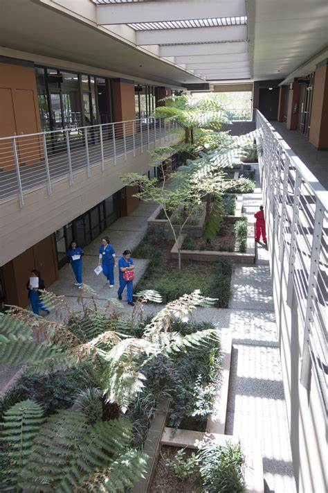 A group of people are walking down a hallway in a building.