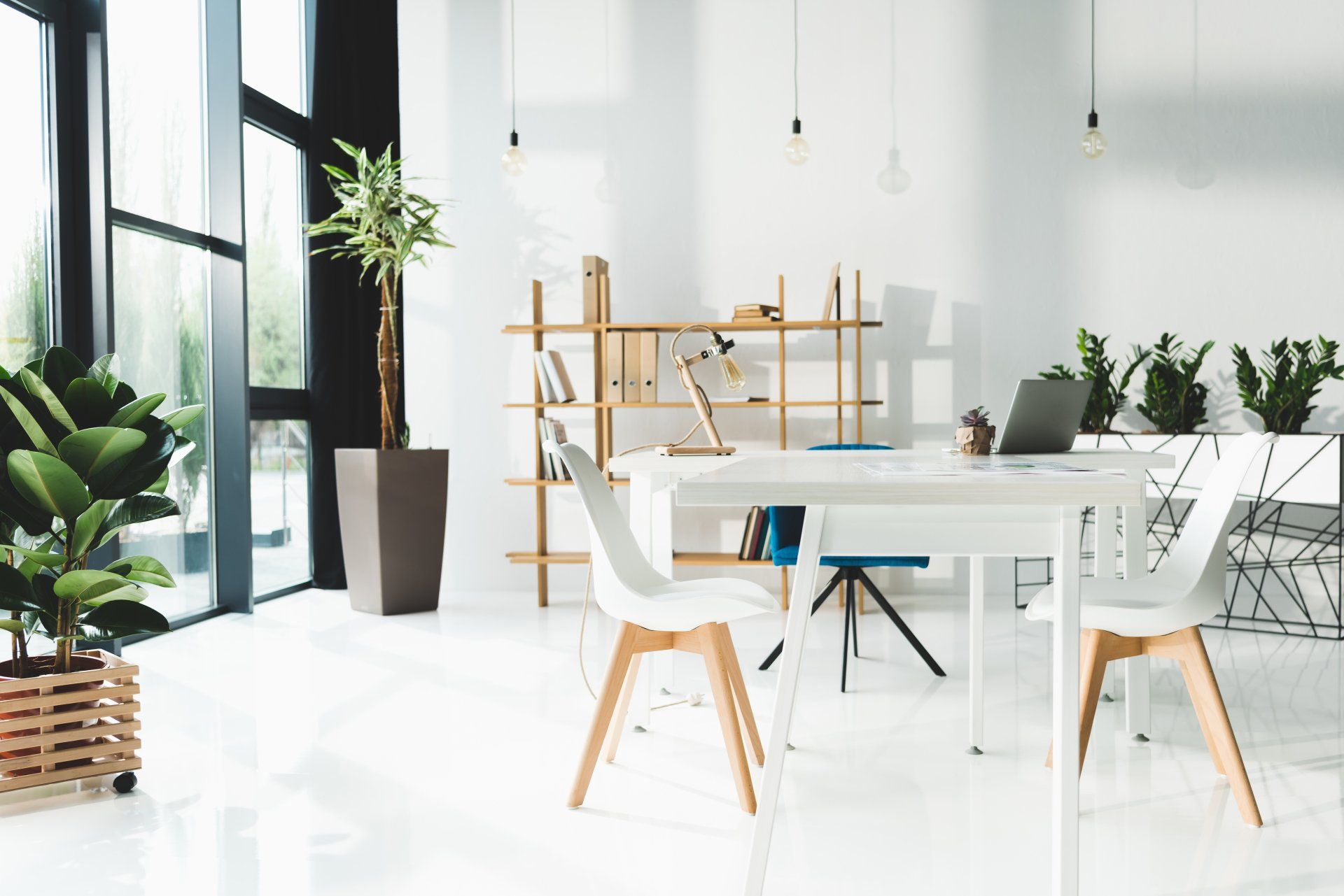A modern office with a table , chairs , plants and a laptop.