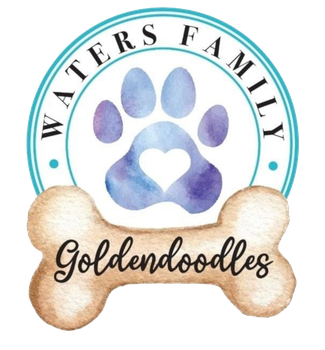 Heavenly Doodles Logo
