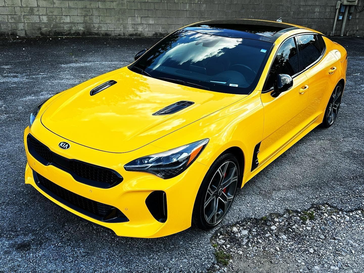 Automotive windshield film near me