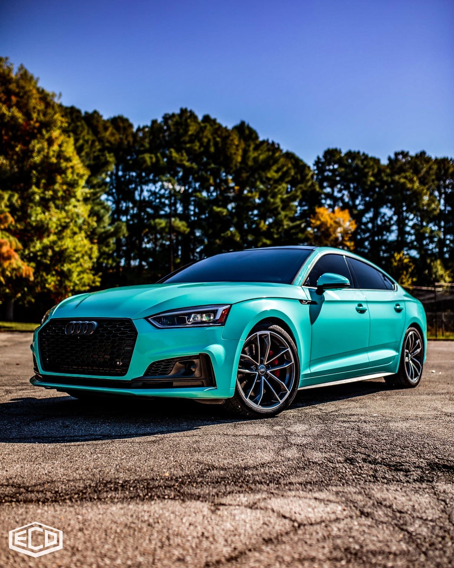 color wraps Birmingham AL