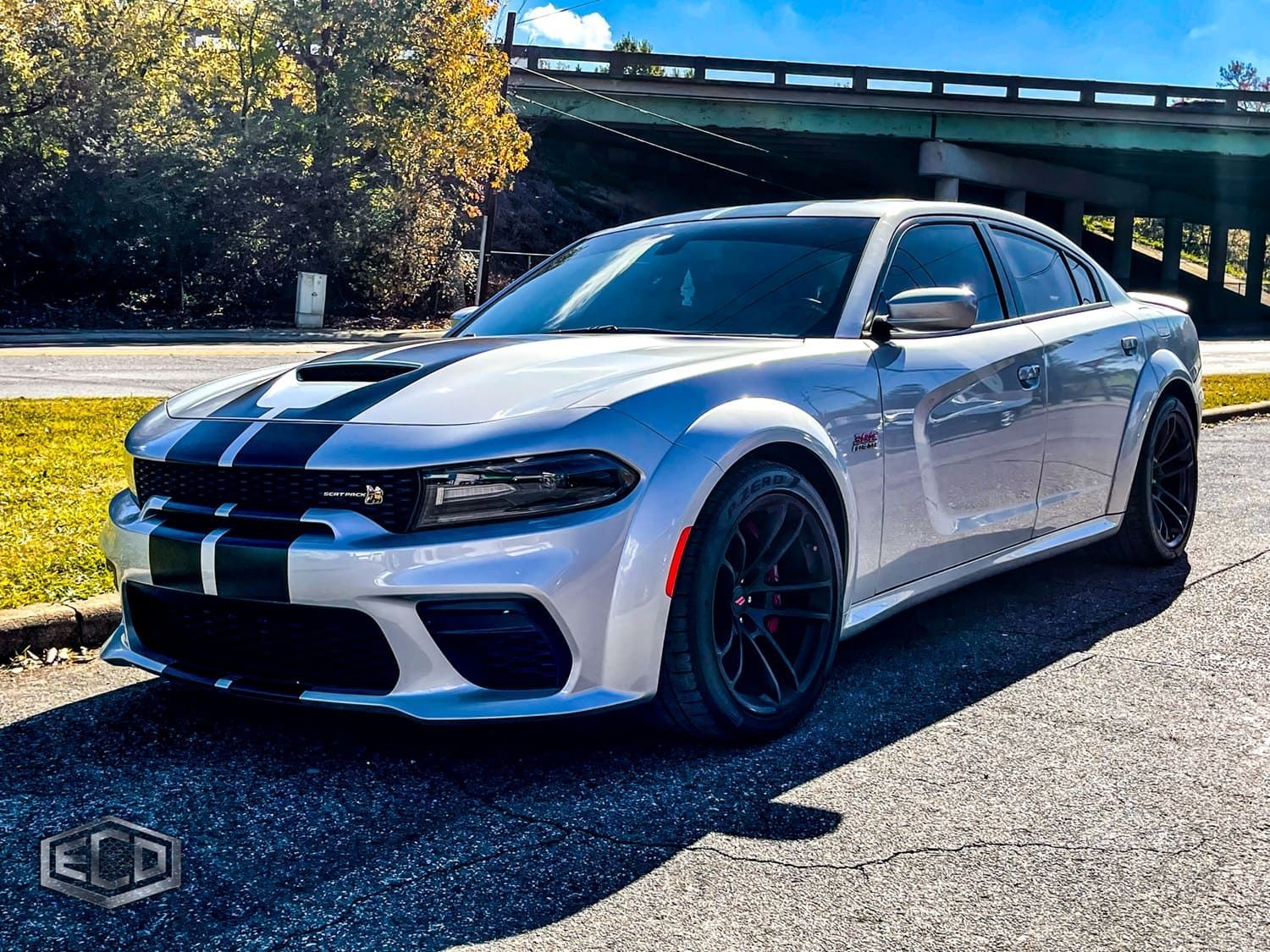 vehicle wraps near me