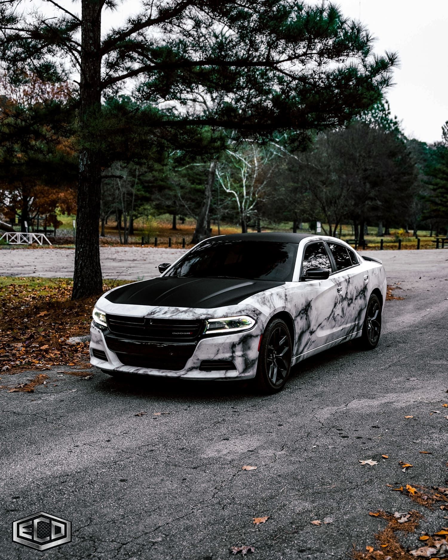 vehicle wraps Birmingham AL