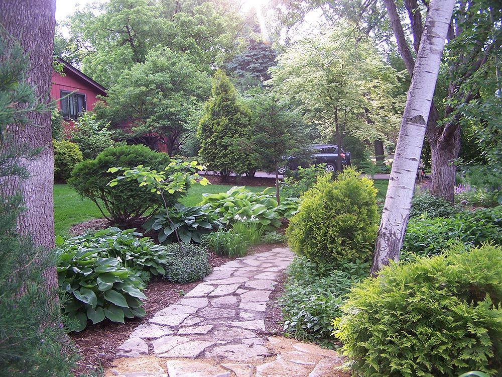 A stone path in a garden with trees and bushes
