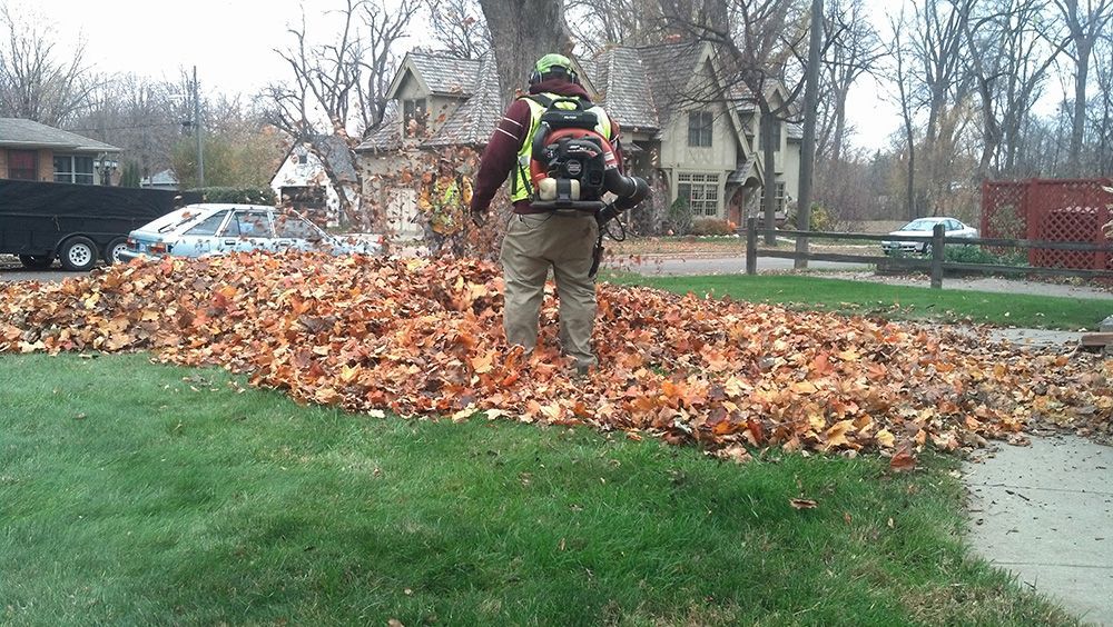 A man with a backpack is blowing leaves in a yard
