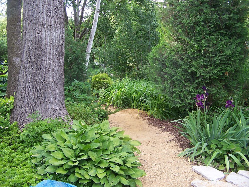 A path in a garden surrounded by trees and flowers