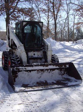 A lush green garden with lots of plants and trees