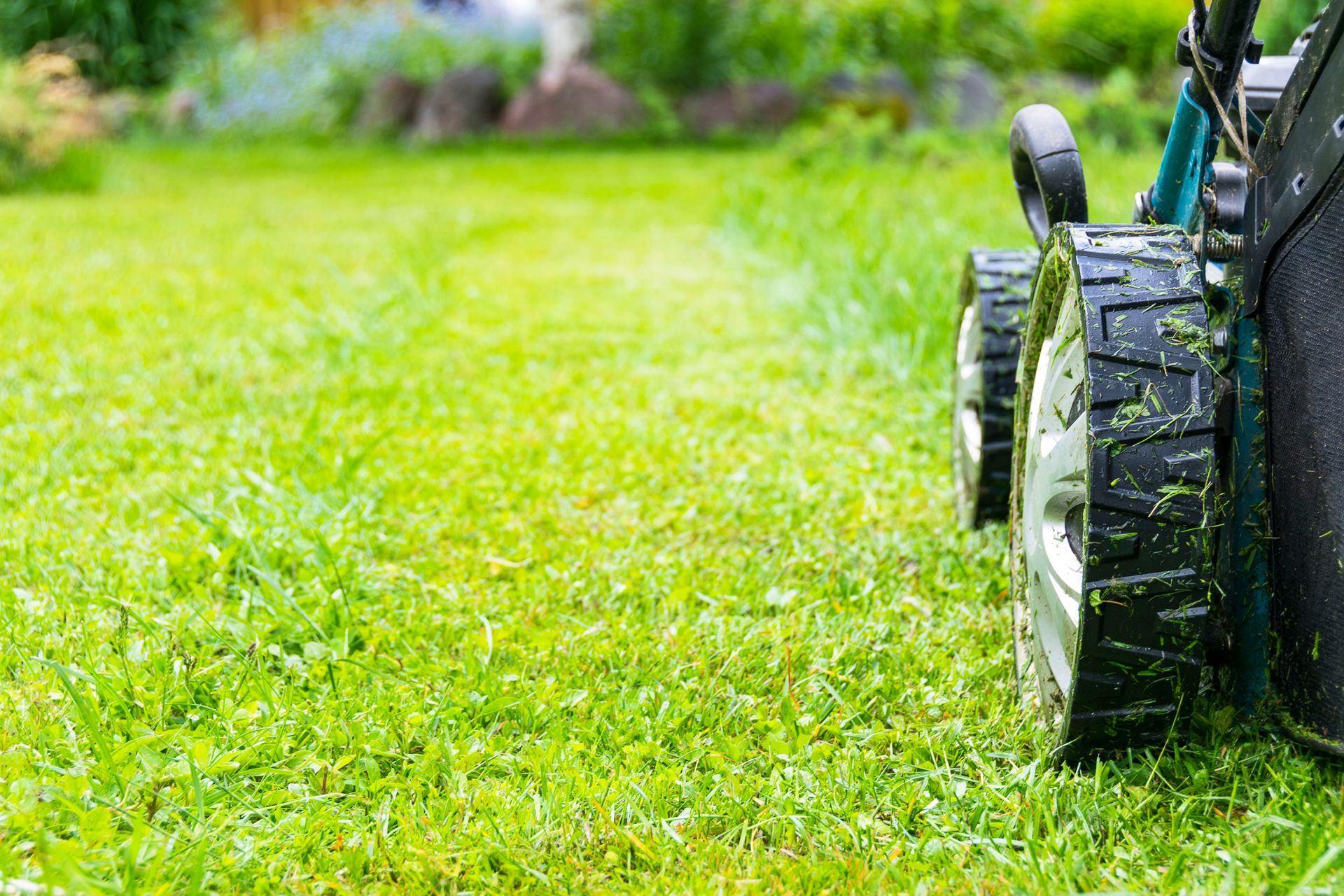 A person is mowing a lush green lawn with a lawn mower