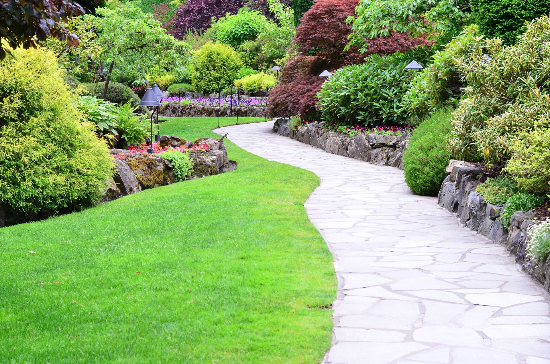 A stone path going through a lush green garden