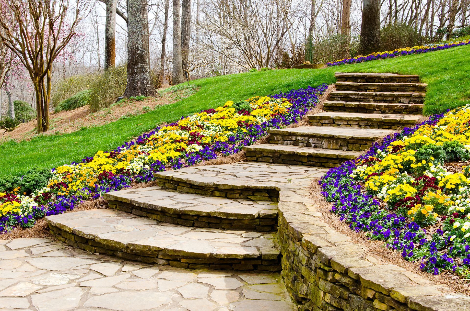 A stone walkway leading up to a lush green hillside surrounded by yellow and purple flowers