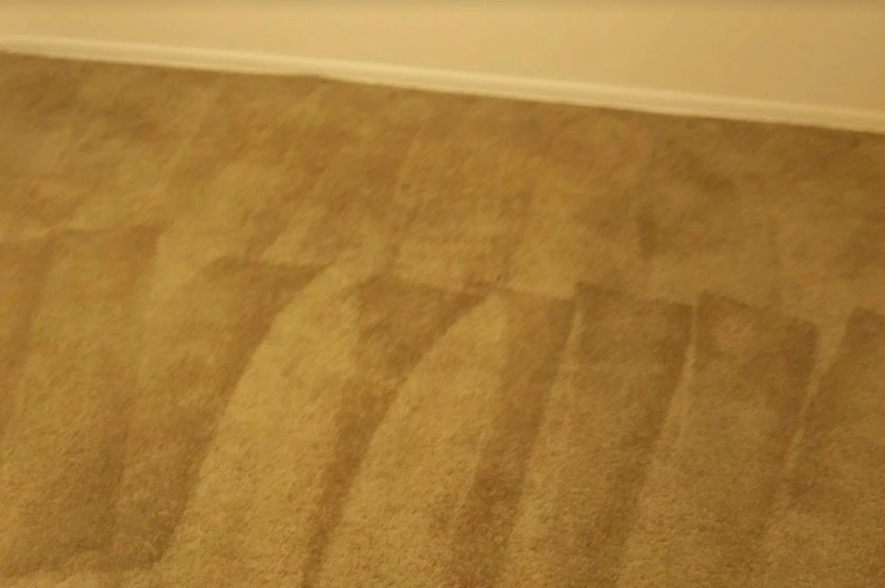 Affordable Columbus Carpet Cleaning