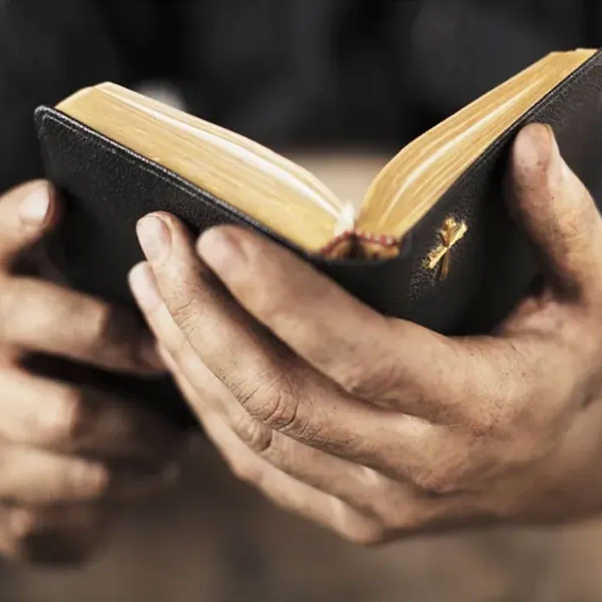 Bible - Let's see what God thinks.