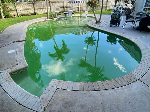 A green swimming pool with palm trees reflected in it