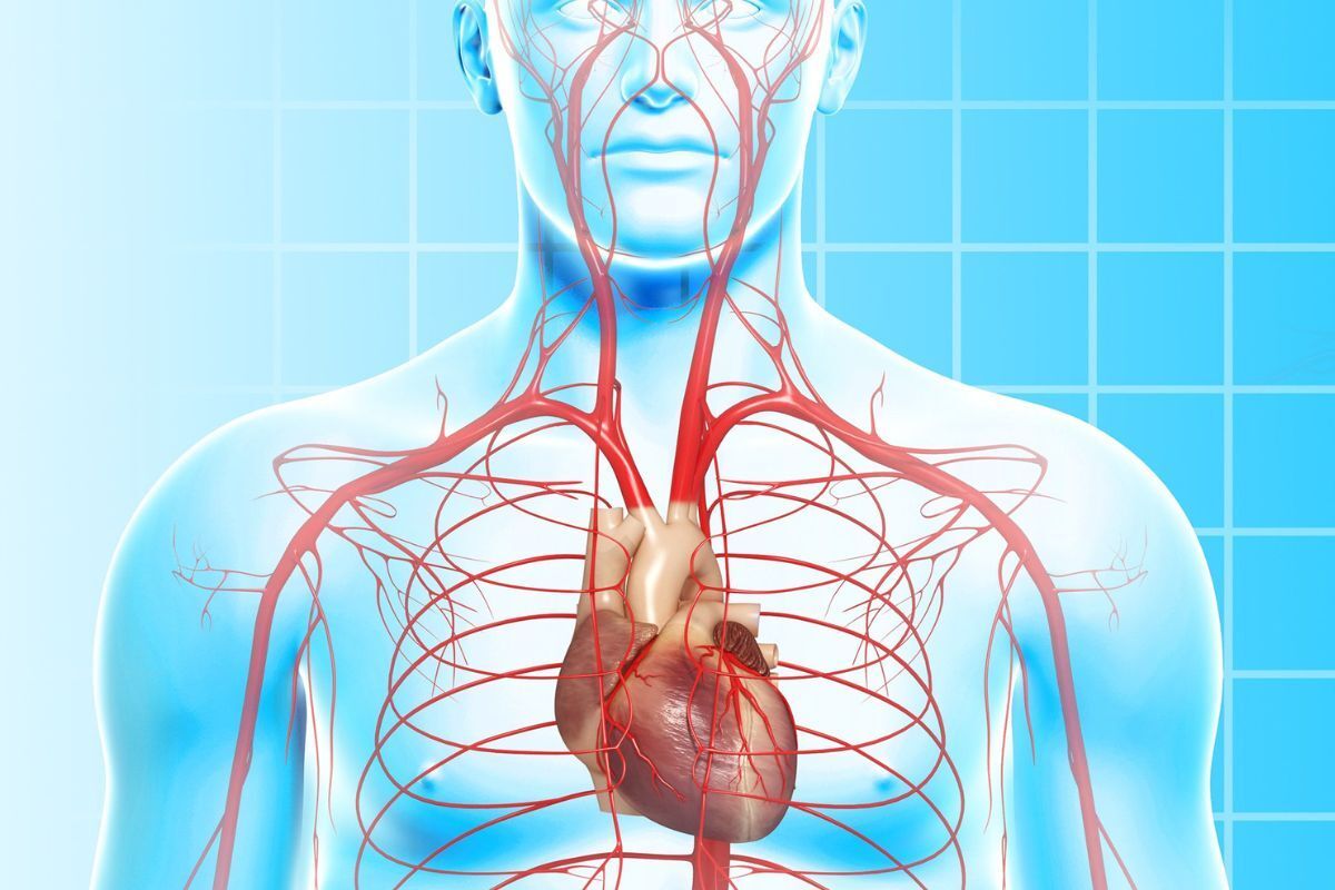 exame-arteria-carotida-clinica-vascullare-medico-vascular-foz-iguacu