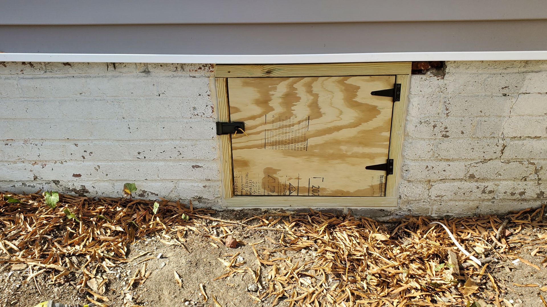 A wooden basement access door on a concrete foundation, secured with hinges and a latch.