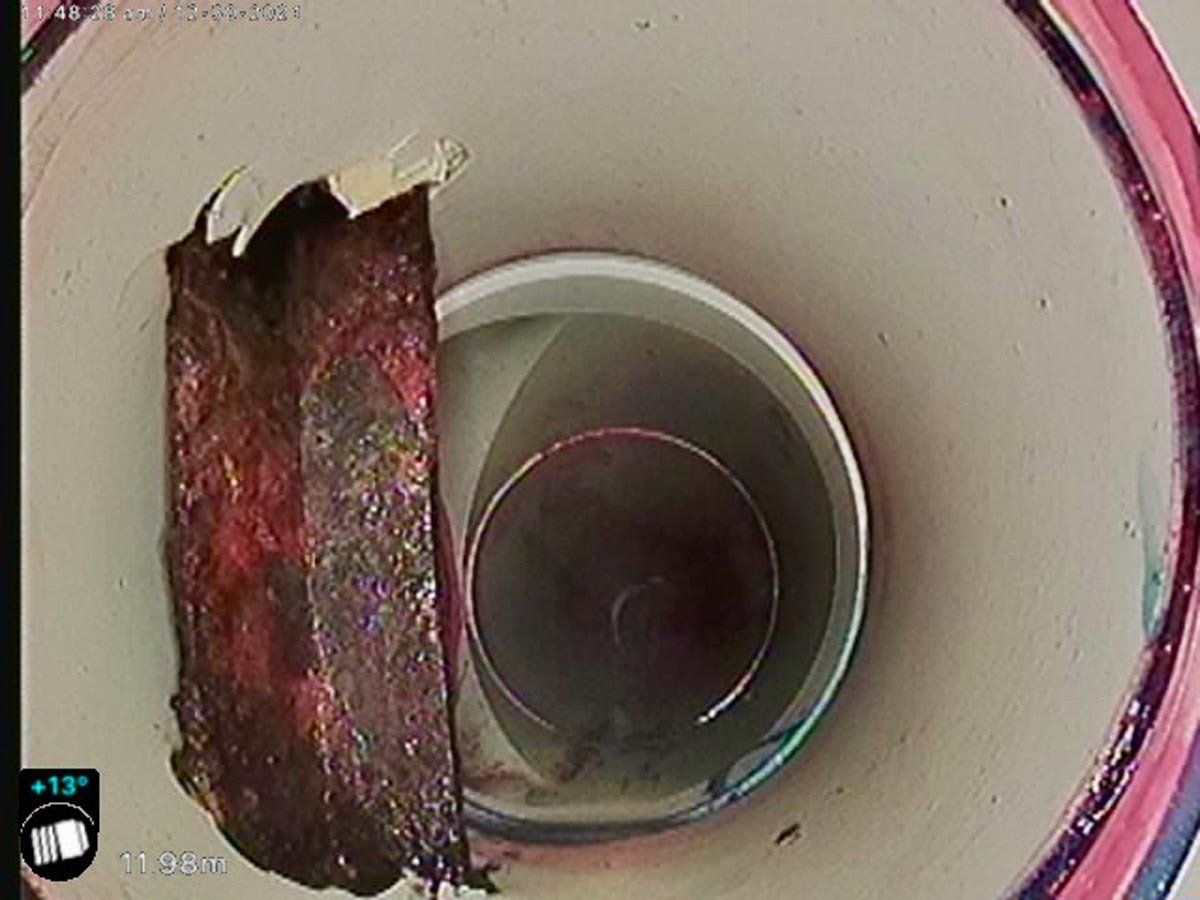 A piece of meat is sitting in a bucket of water.